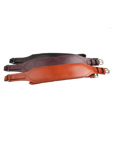 Safety Belt