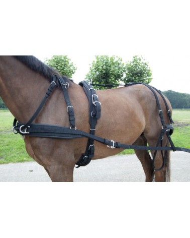 Harness WEBTECH Combi