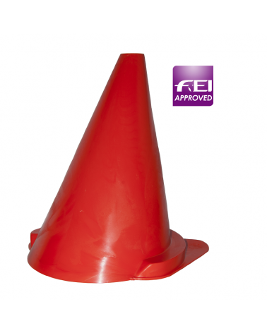 Fahrkegel ( FEI )