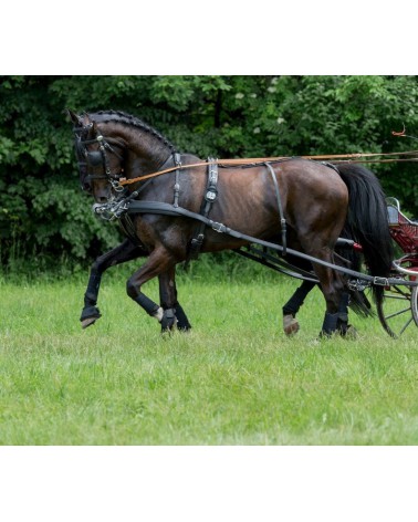 Uprząż syntetyczna EUROTECH Combi