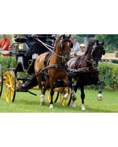 Uprząż syntetyczna EUROTECH Combi