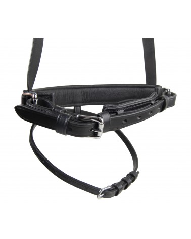 Flash Noseband Anatomic