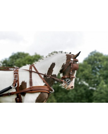 Leather Harness LEATHERTECH Combi