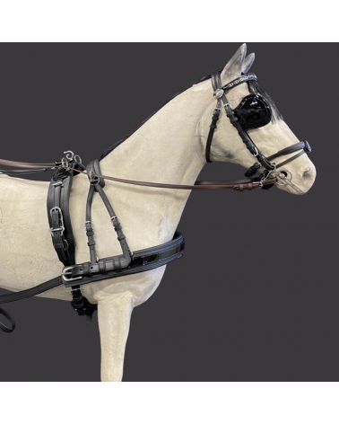 SPECIAL EDITION - Syntetický postroj EUROTECH Classic PATENT