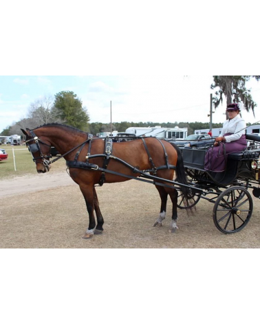 Synthetic Harness EUROTECH CLASSIC