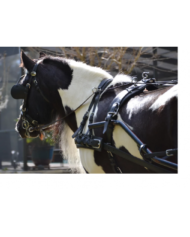 Synthetic Harness EUROTECH...