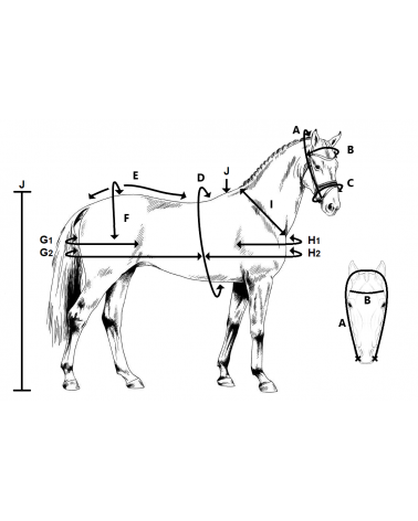 Synthetic Harness EUROTECH COMBINATION