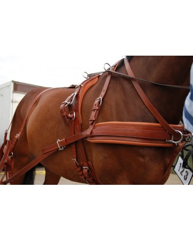 Leather Harness LEATHERTECH Combi