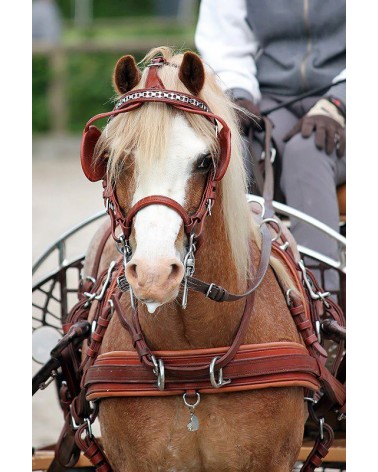 Leather Harness LEATHERTECH Combi