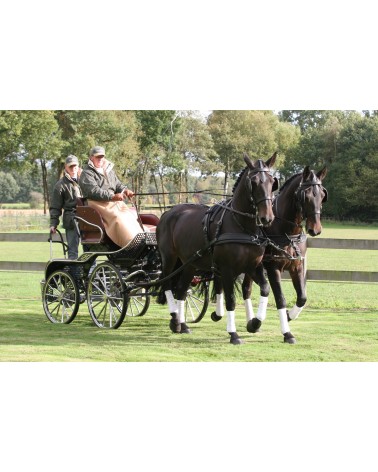 Leather Harness LEATHERTECH Combi