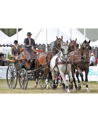 Leather Harness LEATHERTECH Combi