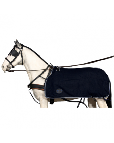 Kidney Sweat Rug Fleece