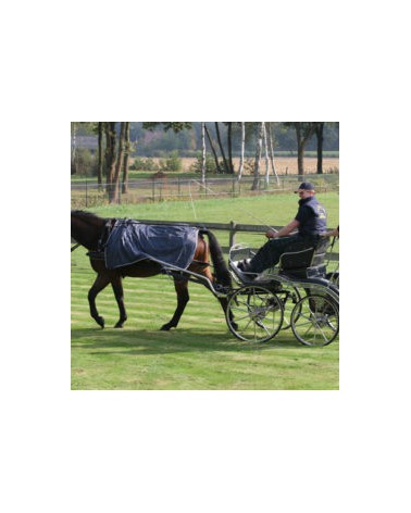 Kidney Rug Water Resistant