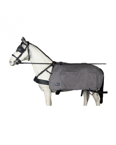 Kidney Rug Water Resistant